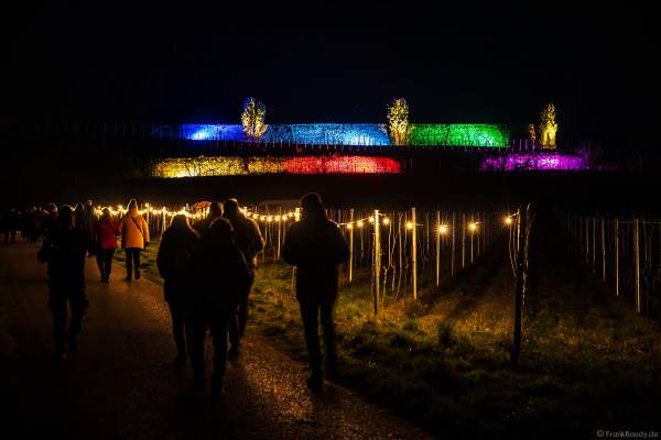 Weinbergnacht in Bad Dürkheim 2023 mit strahlender Lichtshow und Laser auf den Weinbergen