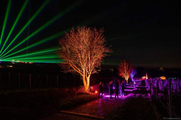 Weinbergnacht in Bad Dürkheim 2023 mit strahlender Lichtshow und Laser auf den Weinbergen