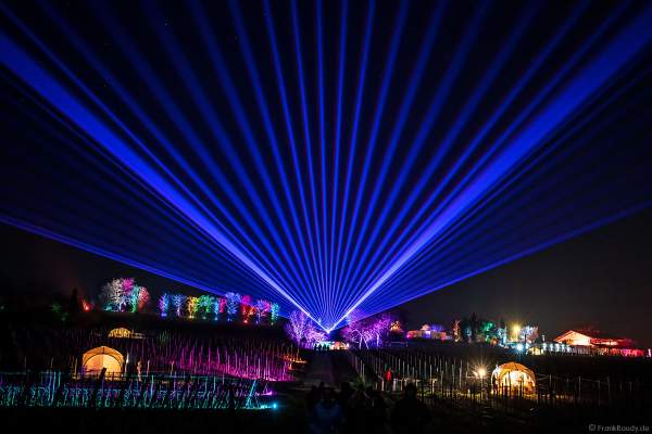 Weinbergnacht in Bad Dürkheim 2023 mit strahlender Lichtshow und Laser auf den Weinbergen