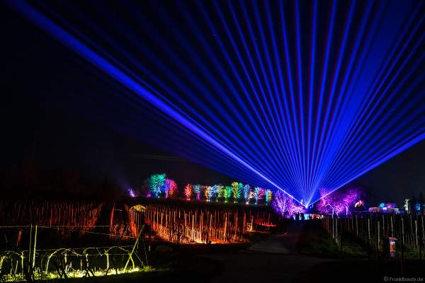 Weinbergnacht in Bad Dürkheim 2023 mit strahlender Lichtshow und Laser auf den Weinbergen