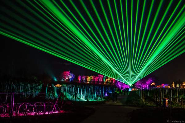 Weinbergnacht in Bad Dürkheim 2023 mit strahlender Lichtshow und Laser auf den Weinbergen