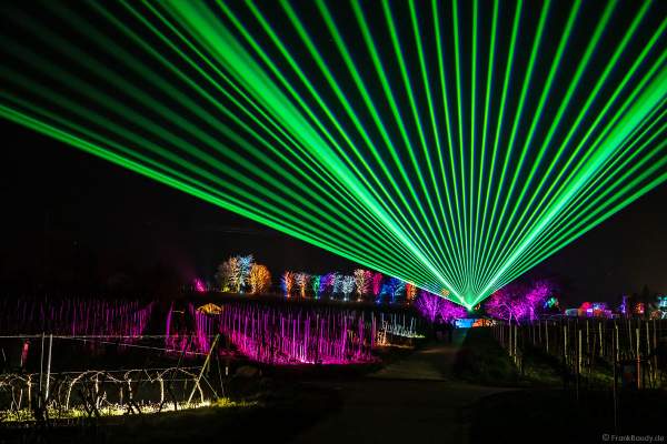 Weinbergnacht in Bad Dürkheim 2023 mit strahlender Lichtshow und Laser auf den Weinbergen