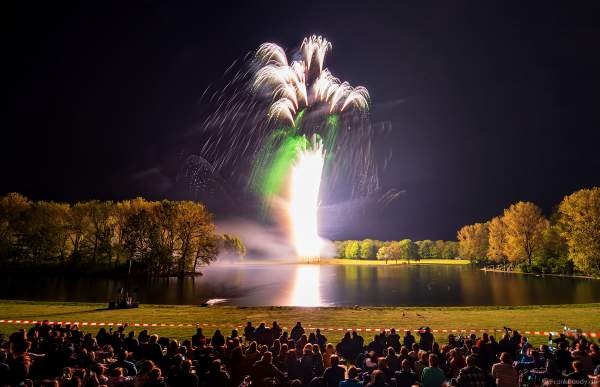 Feuerwerk-Inszenierung: Ein von sieben Stellen geschossenen BAUM DES LEBENS in Silber mit grünem Blätterdach - RHEIN IN FLAMMEN 2023 - Bonn