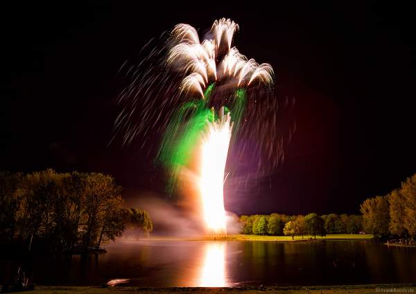 Feuerwerk-Inszenierung: Ein von sieben Stellen geschossenen BAUM DES LEBENS in Silber mit grünem Blätterdach - RHEIN IN FLAMMEN 2023 - Bonn