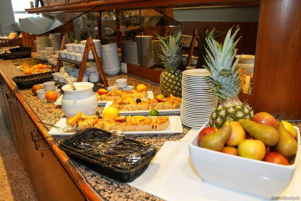 Pyro Technology Conference 2024