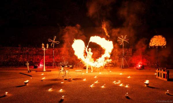 Feuerexplosionen bei der Feuershow beim Mitarbeiterfest von Beisel Pyrotechnik von JANOSCH BÄR - AKindofFire