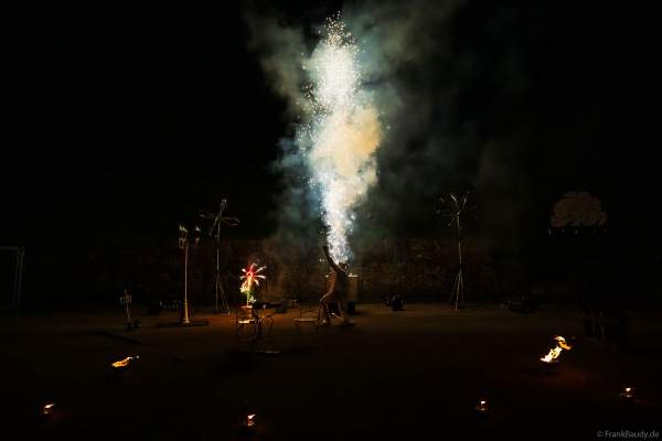 Feuershow mit Feuerwerk beim Mitarbeiterfest von Beisel Pyrotechnik von JANOSCH BÄR - AKindofFire