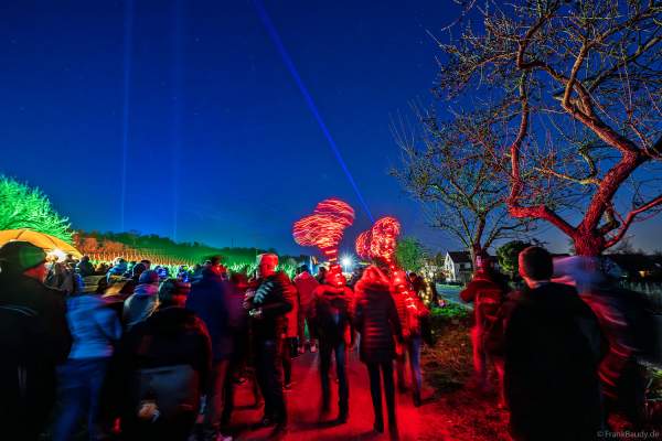 Weinbergnacht 2025 in Bad Dürkheim mit farbenprächtiger Lichtshow auf den Weinbergen