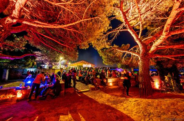 Weinbergnacht 2025 in Bad Dürkheim mit farbenprächtiger Lichtshow auf den Weinbergen