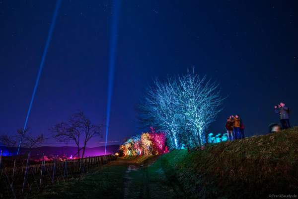 Weinbergnacht 2025 in Bad Dürkheim mit farbenprächtiger Lichtshow auf den Weinbergen