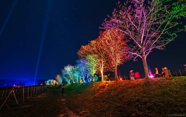Weinbergnacht 2025 in Bad Dürkheim mit farbenprächtiger Lichtshow auf den Weinbergen