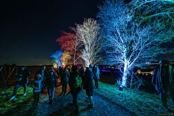 Weinbergnacht 2025 in Bad Dürkheim mit farbenprächtiger Lichtshow auf den Weinbergen