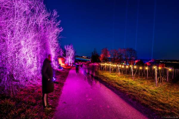 Weinbergnacht 2025 in Bad Dürkheim mit farbenprächtiger Lichtshow auf den Weinbergen