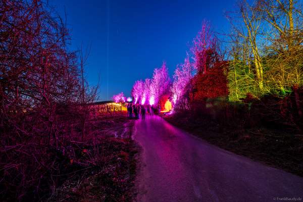 Weinbergnacht 2025 in Bad Dürkheim mit farbenprächtiger Lichtshow auf den Weinbergen