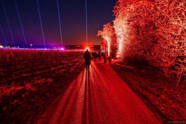 Weinbergnacht 2025 in Bad Dürkheim mit farbenprächtiger Lichtshow auf den Weinbergen