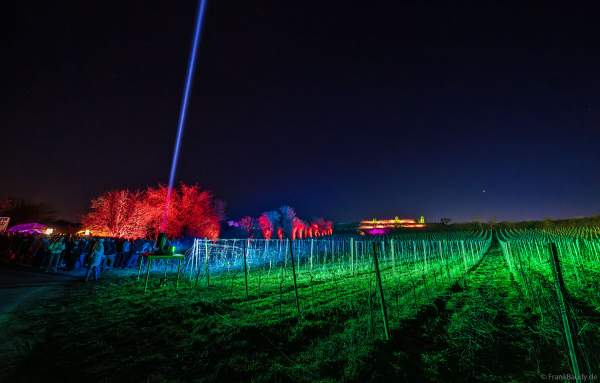 Weinbergnacht 2025 in Bad Dürkheim mit farbenprächtiger Lichtshow auf den Weinbergen