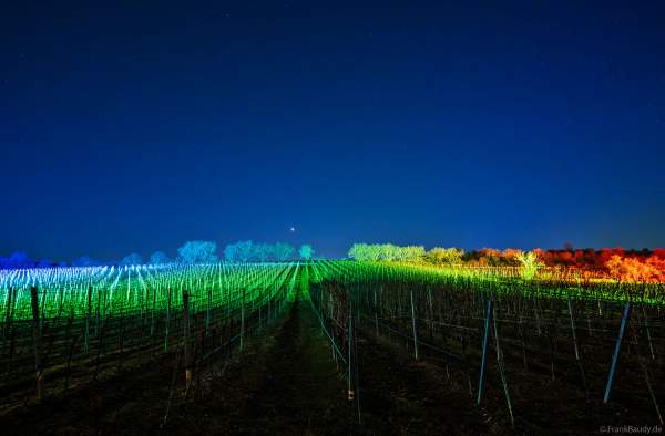 Weinbergnacht 2025 in Bad Dürkheim mit farbenprächtiger Lichtshow auf den Weinbergen