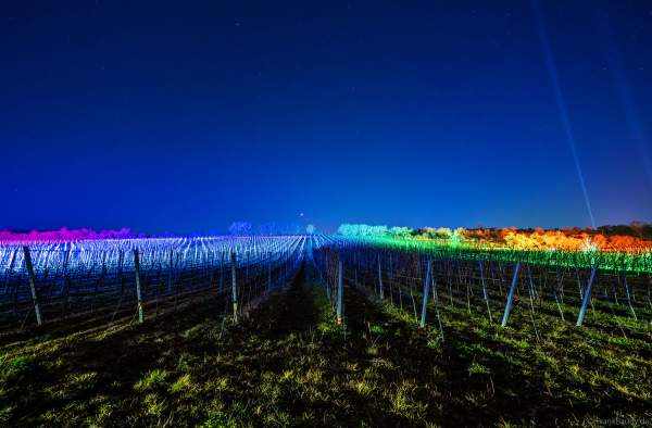 Weinbergnacht 2025 in Bad Dürkheim mit farbenprächtiger Lichtshow auf den Weinbergen