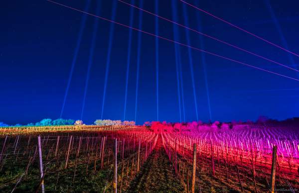 Weinbergnacht 2025 in Bad Dürkheim mit farbenprächtiger Lichtshow auf den Weinbergen