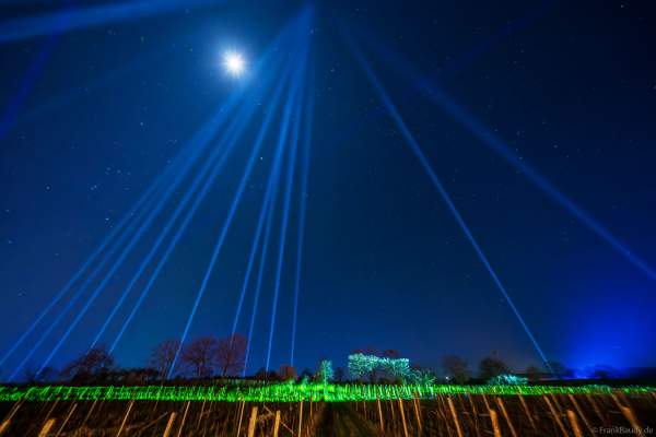 Weinbergnacht 2025 in Bad Dürkheim mit farbenprächtiger Lichtshow auf den Weinbergen
