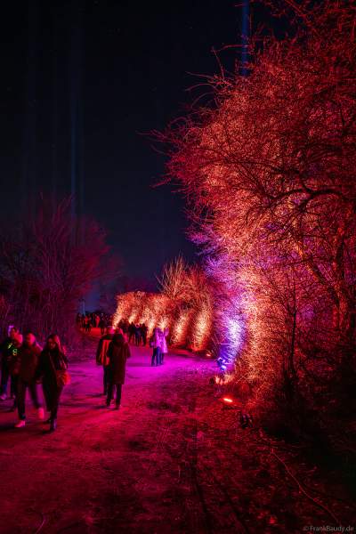Weinbergnacht 2025 in Bad Dürkheim mit farbenprächtiger Lichtshow auf den Weinbergen