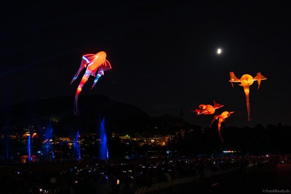 Imaginäre leuchtende Vögel, die Luminéoles, sorgten bei Fête du lac d’Annecy 2025 für magische Momente