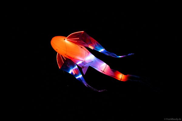 Imaginäre leuchtende Wesen, die Luminéoles, sorgten bei Fête du lac d’Annecy 2025 für magische Momente