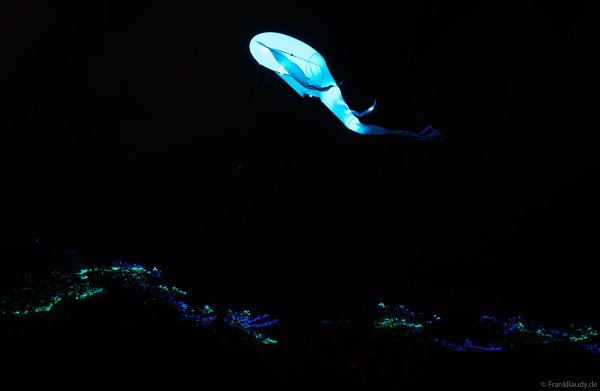 Imaginäre leuchtende Vögel, die Luminéoles, sorgten bei Fête du lac d’Annecy 2025 für magische Momente