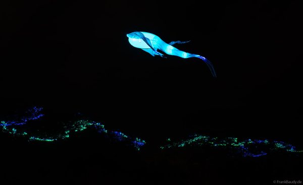 Imaginäre leuchtende Wesen, die Luminéoles, sorgten bei Fête du lac d’Annecy 2025 für magische Momente