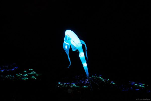 Imaginäre leuchtende Vögel, die Luminéoles, sorgten bei Fête du lac d’Annecy 2025 für magische Momente