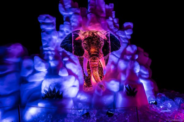 Kunstvoll geschnitzter Elefant aus Eis im Europa-Park