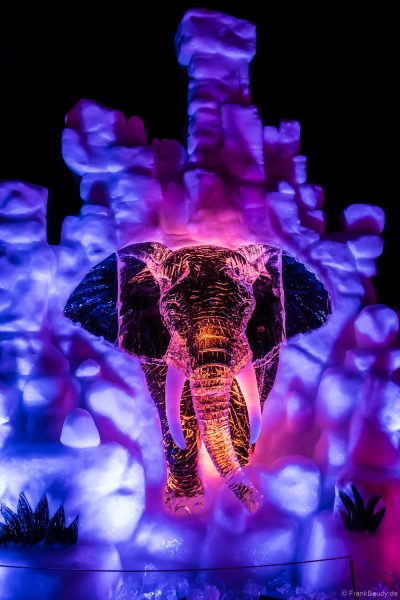 Kunstvoll geschnitzter Elefant aus Eis im Europa-Park