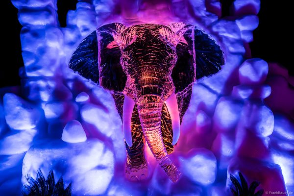 Kunstvoll geschnitzter Elefant aus Eis im Europa-Park