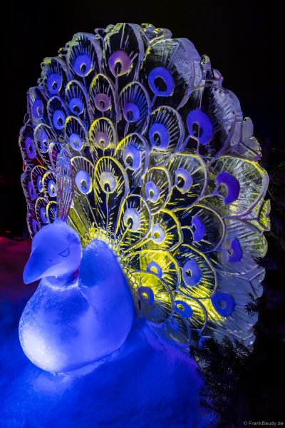 Ein blauer Pfau mit leuchtendem Federkostüm aus Eis