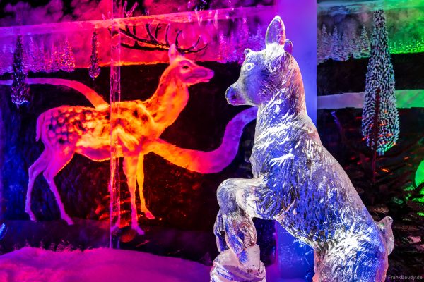 Bunte und farbenprächtige Tierwelt aus Eis im Eisskulpturen-Dome Europa-Park