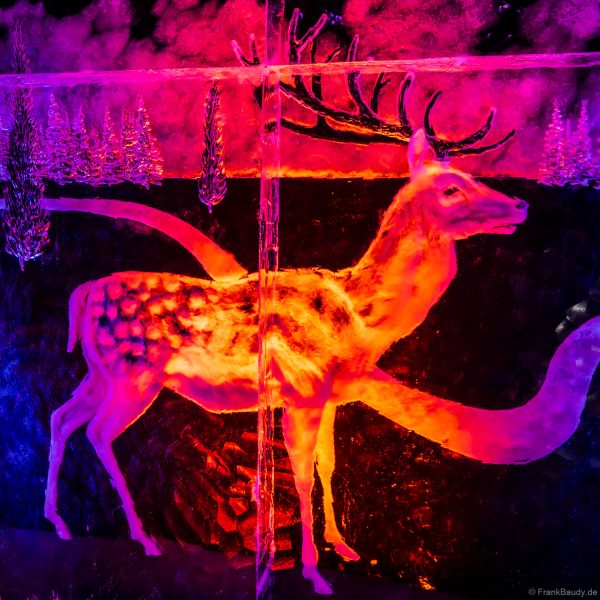 Bunte und farbenprächtige Tierwelt aus Eis im Eisskulpturen-Dome Europa-Park