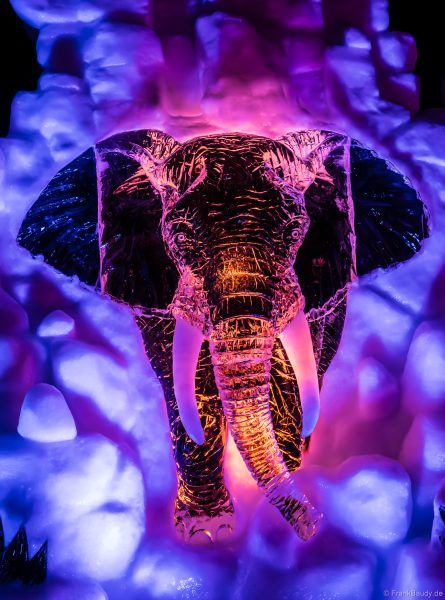 Kunstvoll geschnitzter Elefant aus Eis im Europa-Park
