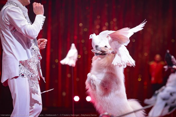 Impressionen des 48. Internationalen Zirkusfestivals von Monte Carlo