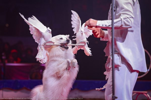 Impressionen des 48. Internationalen Zirkusfestivals von Monte Carlo
