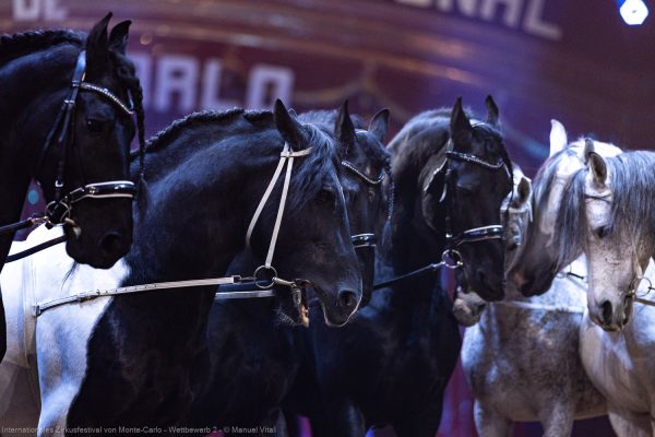 Impressionen des 48. Internationalen Zirkusfestivals von Monte Carlo